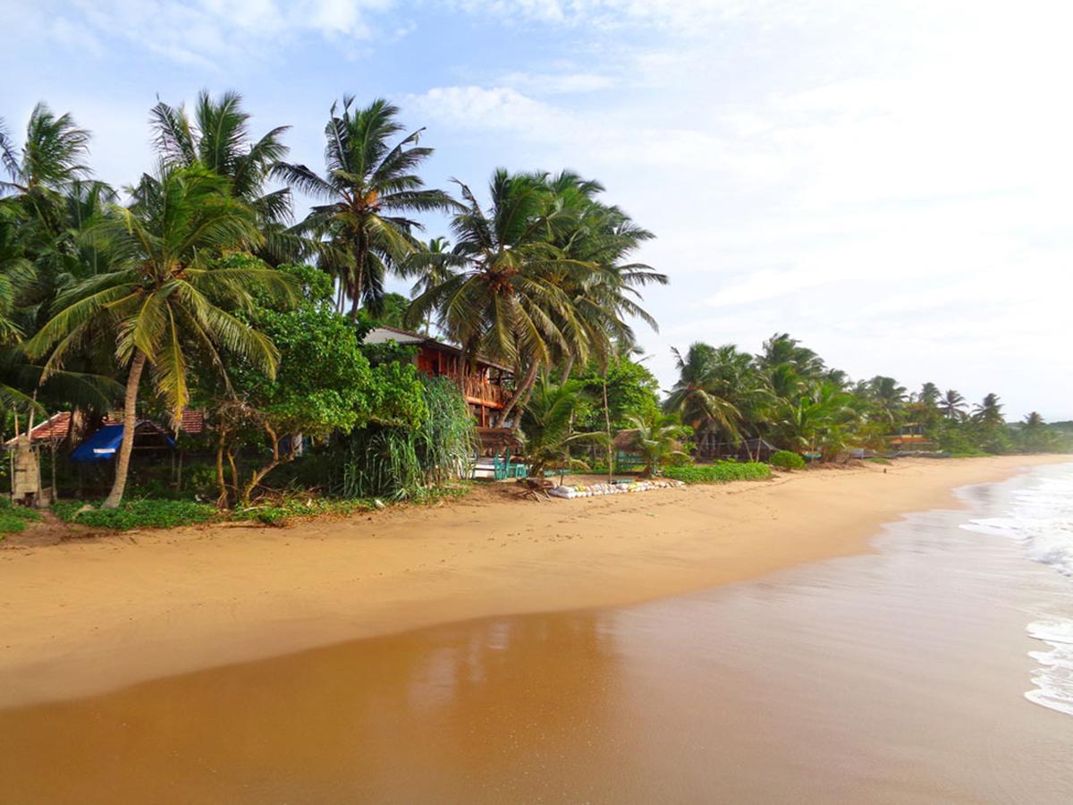 Reggae Zone Beach Resort Tangalle Exterior foto